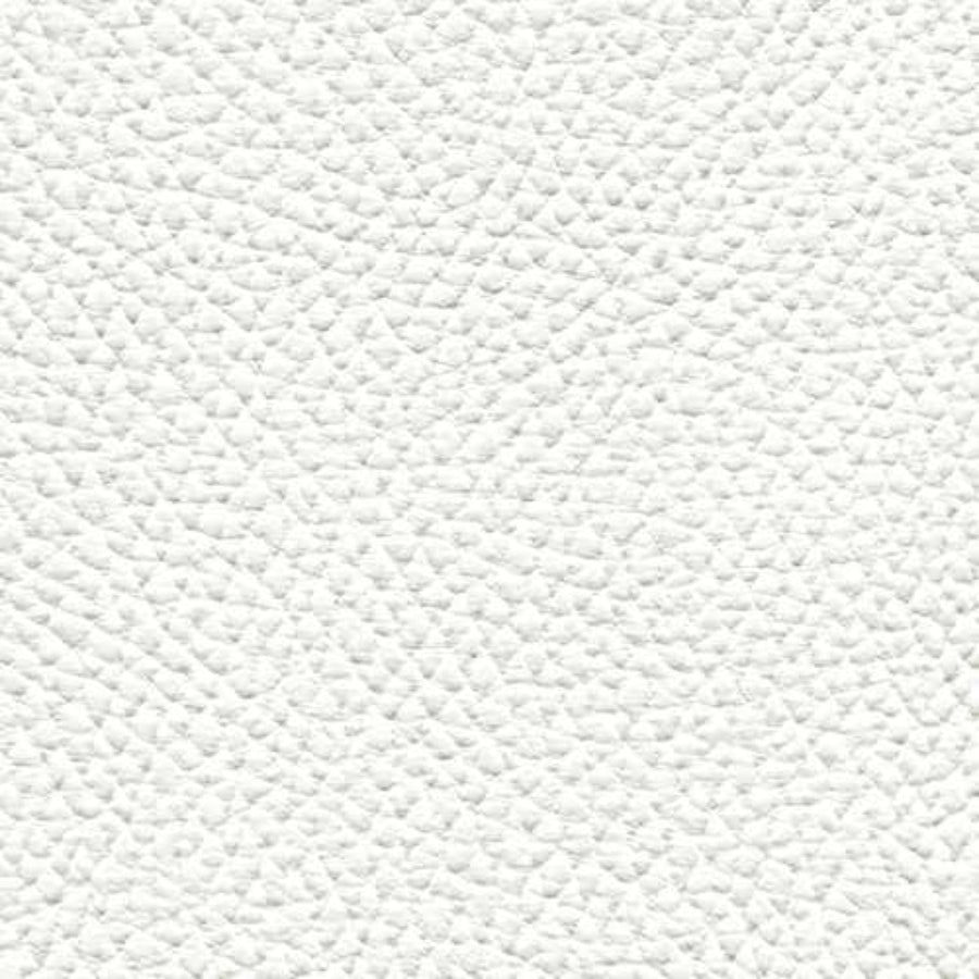 Beluga Pure White