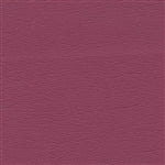 Ultraleather Sorbet