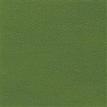 Brisa Apple Green