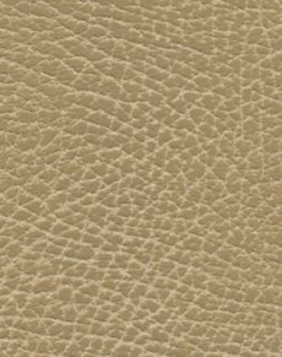 Brisa Distressed Buckskin