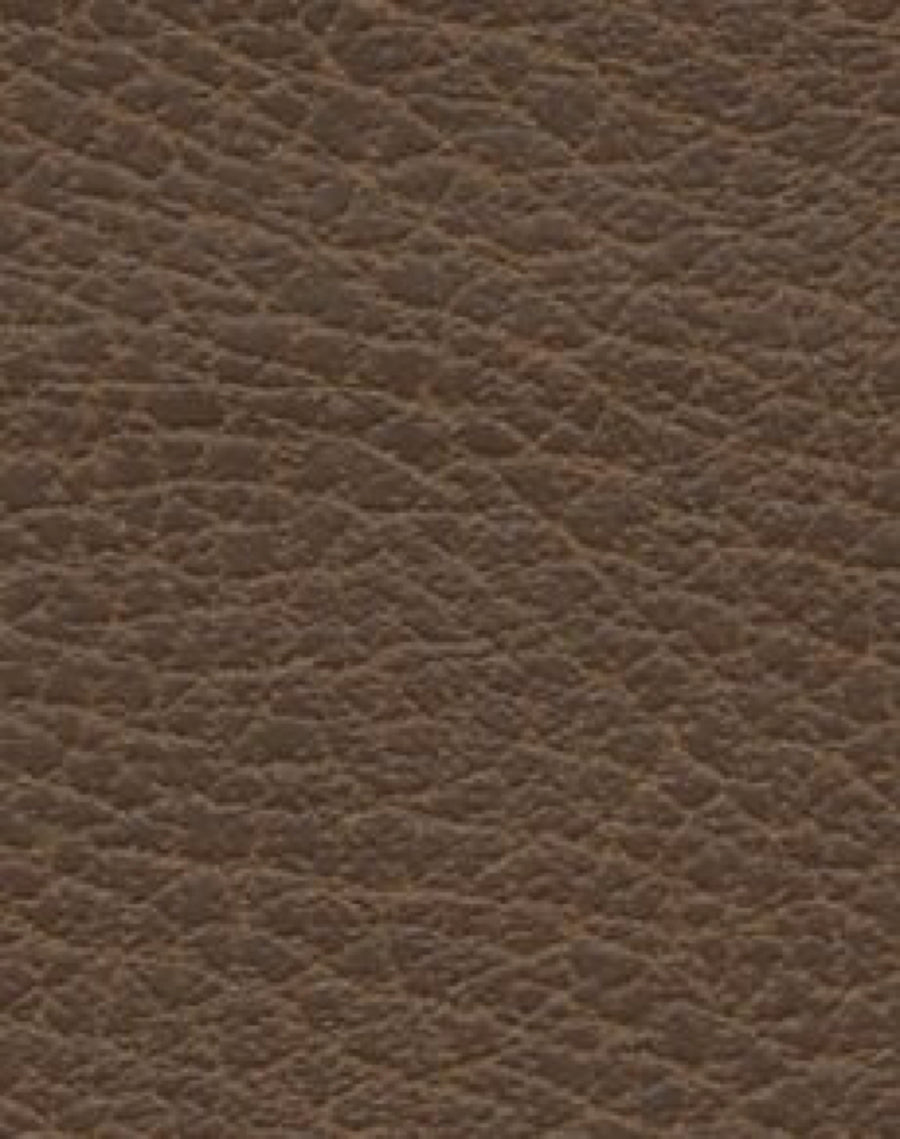 Brisa Distressed Bridle