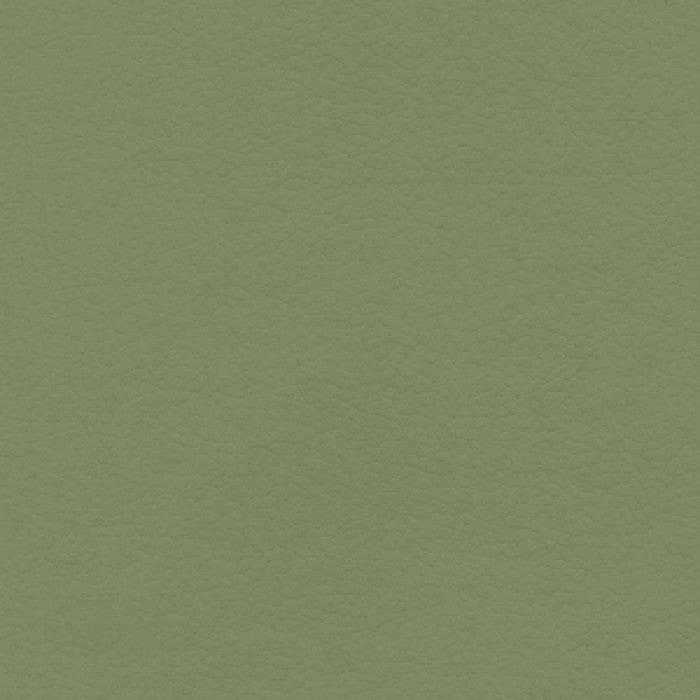 Coast Stem Green