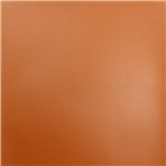 Anchorage Ochre