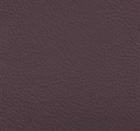 Jackson Purple Heart