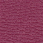 Allure Cranberry