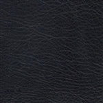 Allegro Coal