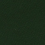 All American Yew Green