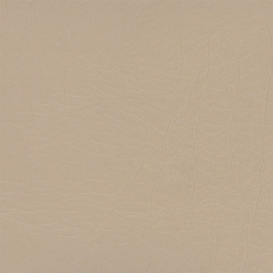 Aries Sand Dollar