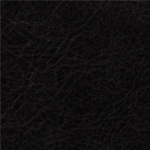 Antheia Black Swan