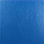 Windward Pacific