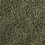 Med Neutral 80 Cutpile Nylon Carpet Backed El Dorado - Auto