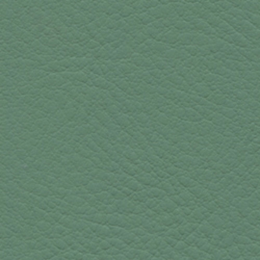 Verve Basil