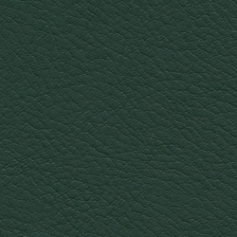 Verve Evergreen