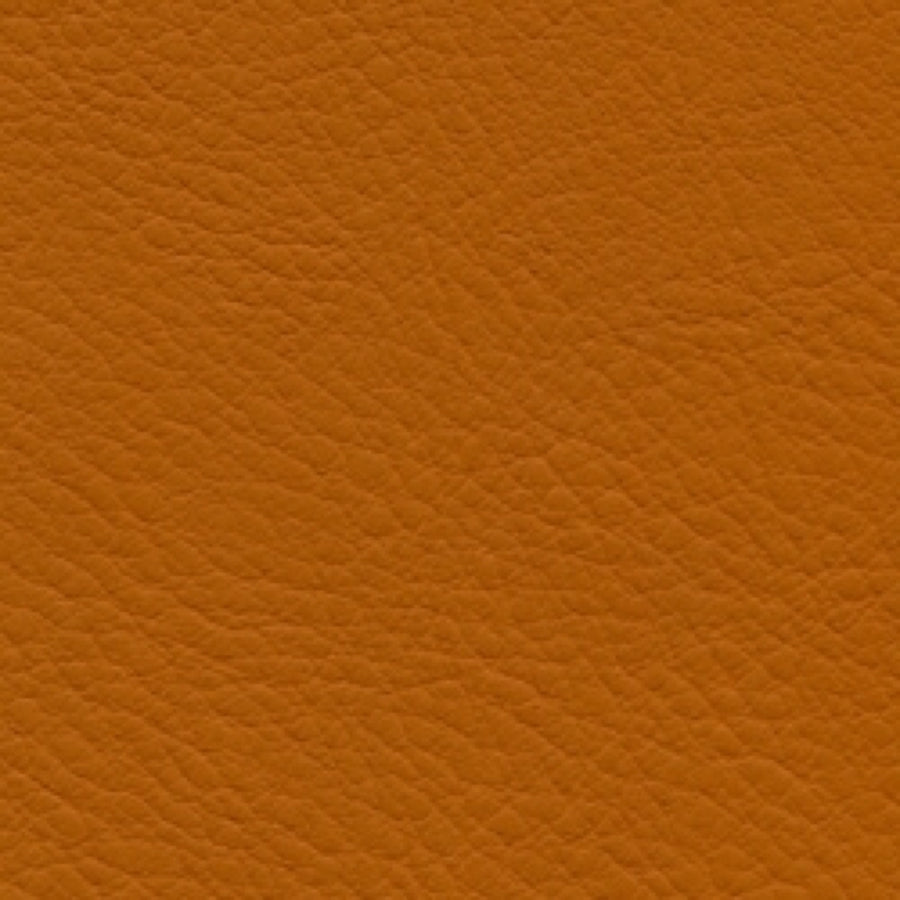 Verve Papaya