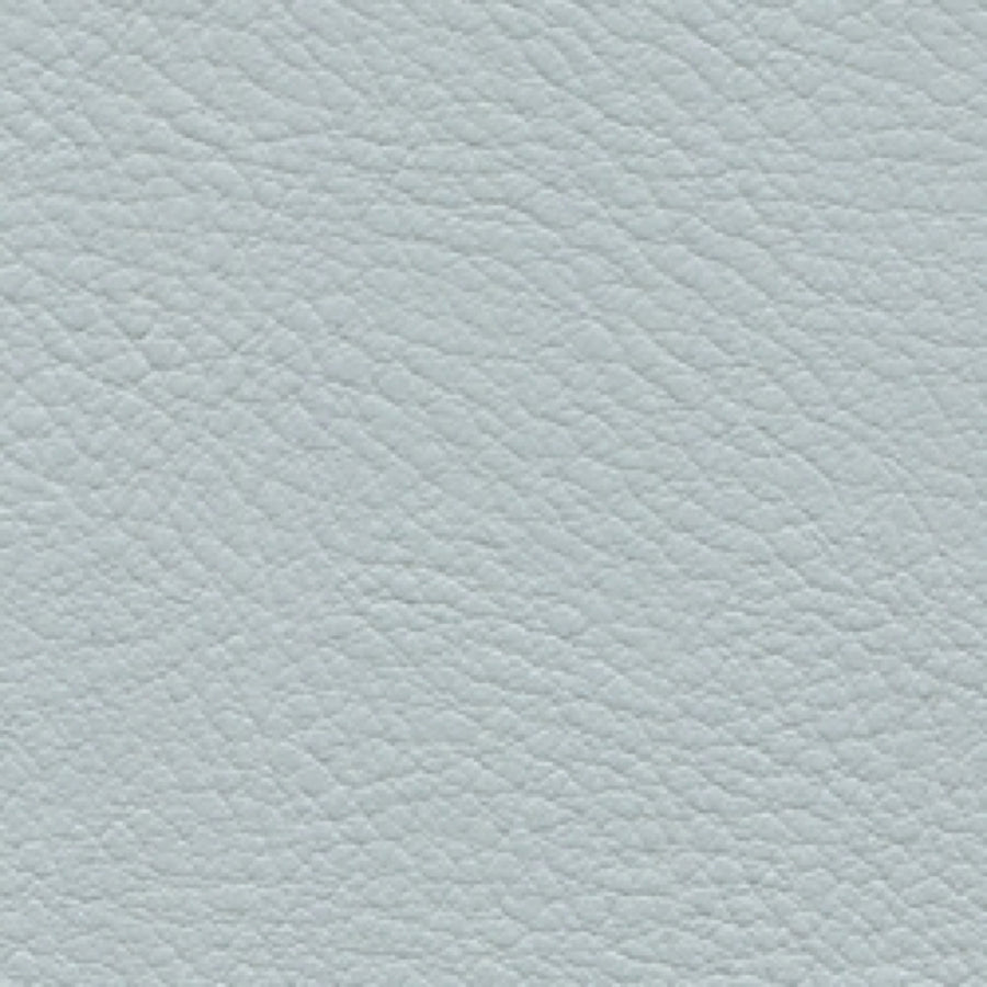 Verve Seagull