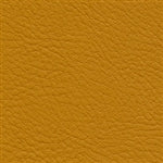 Verve Turmeric