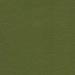 EZ Wallaby Olive