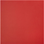 Capriccio Logo Red
