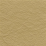 Corsica Ivory