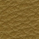 Levant Buckskin