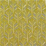 Linden Citron