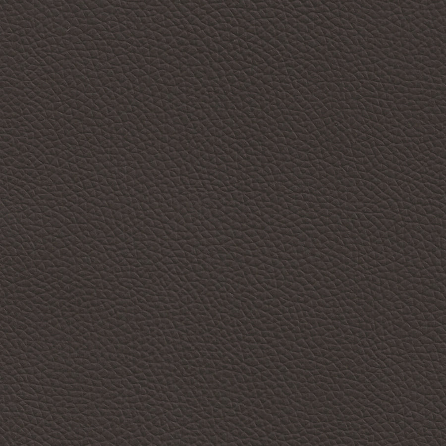 Longitude Ebony