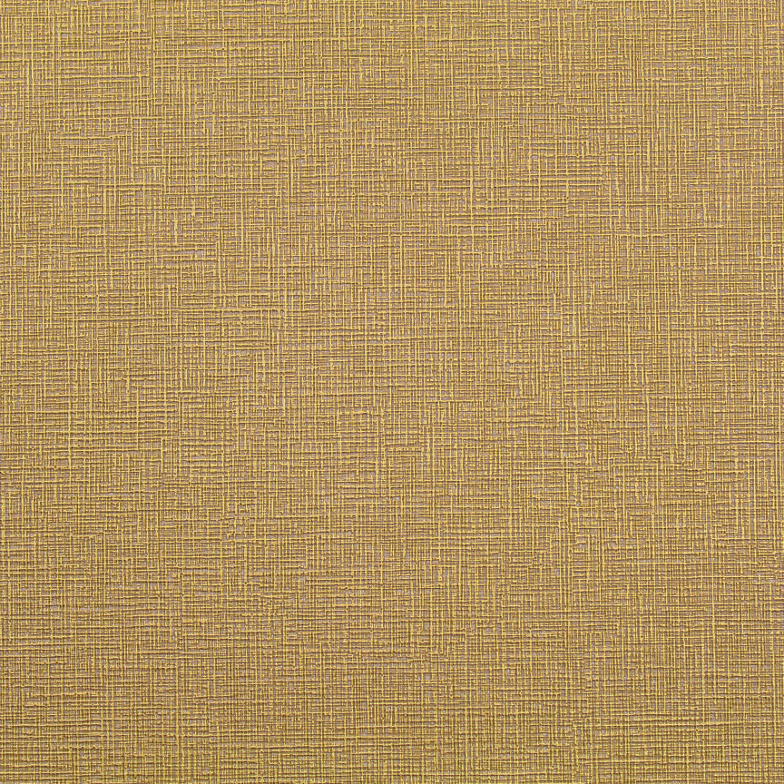 Masiala Beachgrass
