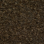 Carlisle Bison