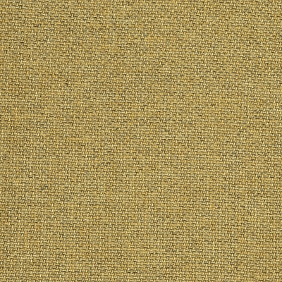 Hudson Maize