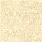 Universal Cream