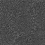 Universal Medium Gray