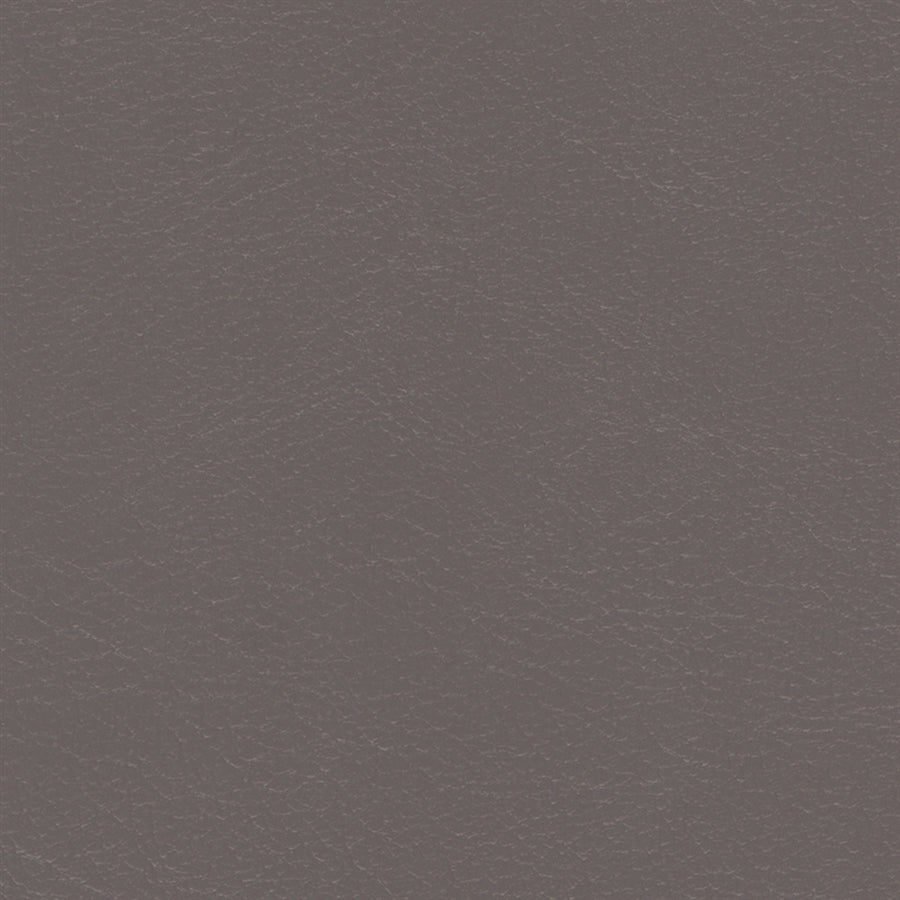 Navigator Soft Dolphin