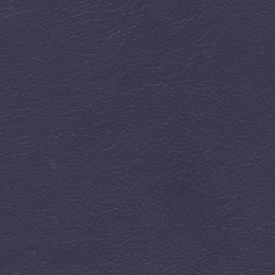Navigator Soft Celestial