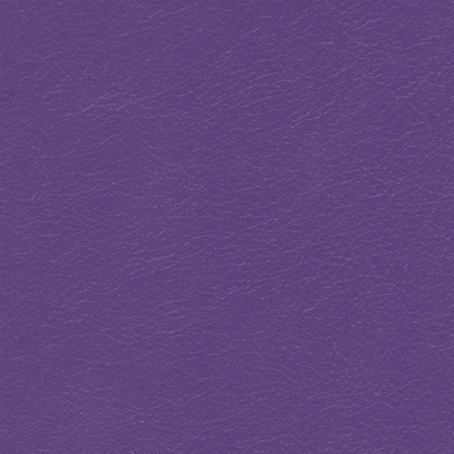 Navigator Soft Purple