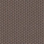 Odyssey Brown