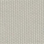 Odyssey Birch