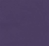 Olympus Deep Violet