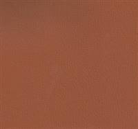 Olympus British Tan