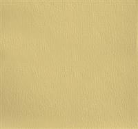 Olympus Desert Tan