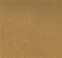 Olympus Cork
