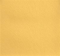 Olympus Cornsilk