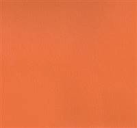 Olympus Orange Blast