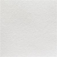 Olympus Canvas