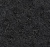 Ostrich Black