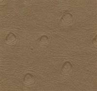 Ostrich Tan