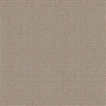 Outdura Champagne - DISCONTINUED WHILE SUPPLIES LAST