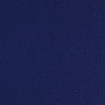Esprit New Purple