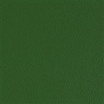 Esprit Olive Green