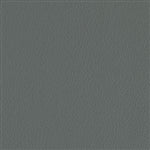 Esprit Platinum