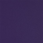 Esprit Purple Iris